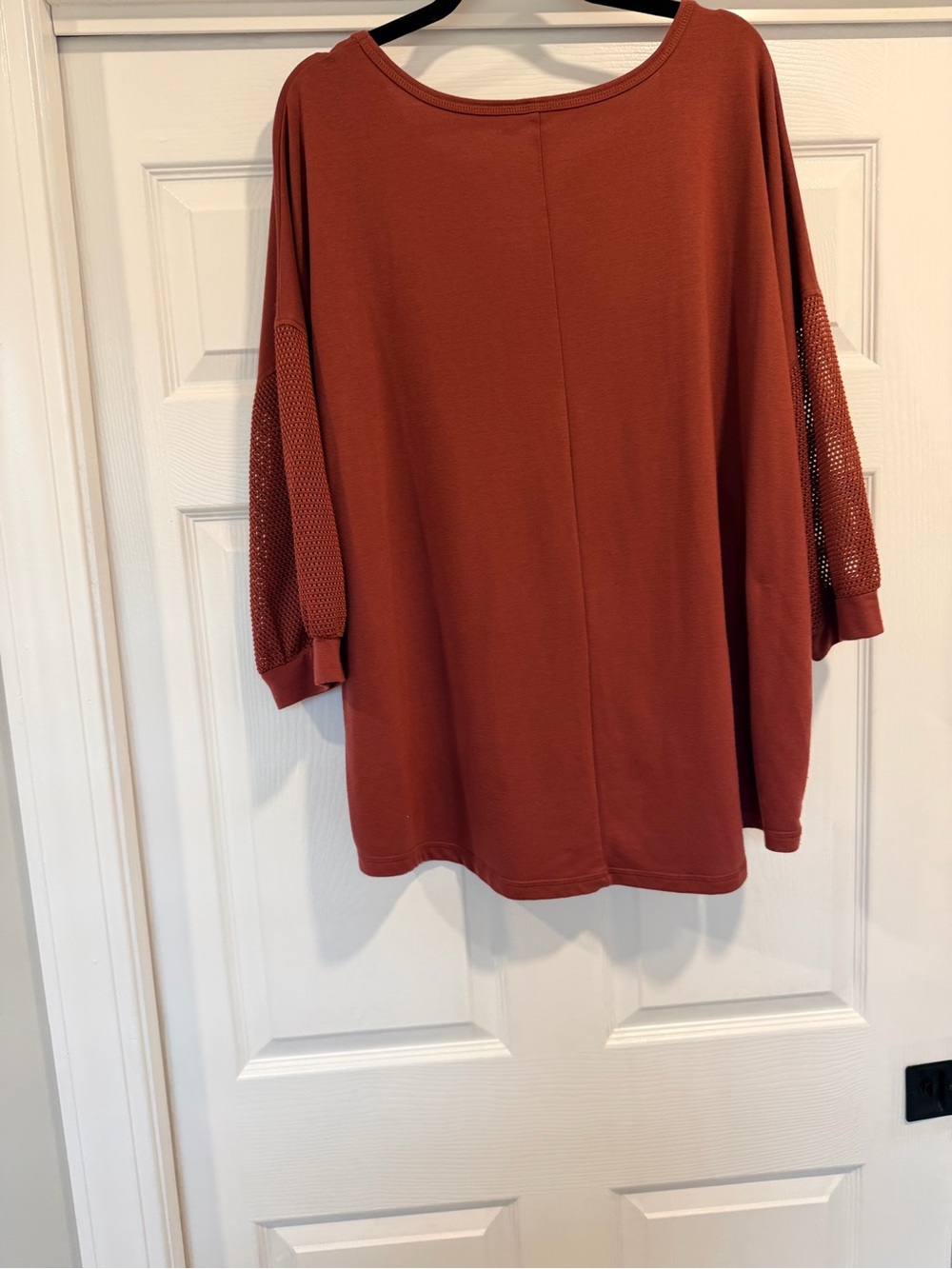 Relaxed Rust Mesh-Sleeve Women's Top - Picture 2 of 5
